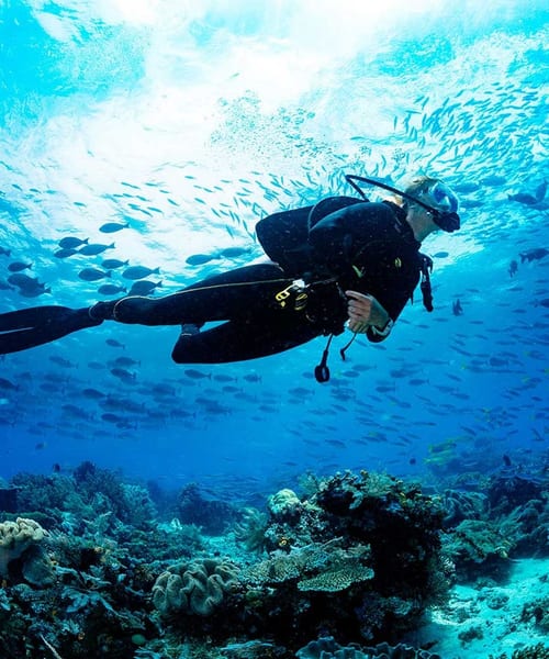 Cozumel & Ocean diving